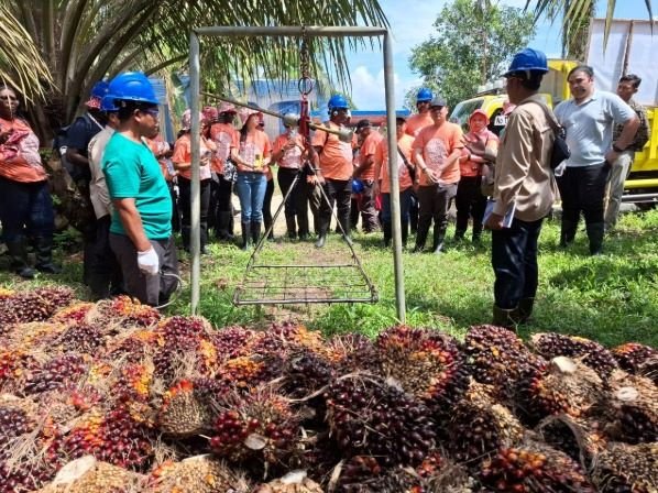 Sebanyak 17 Negara Sehaluan, Pelajari Praktik Berkelanjutan Kelapa Sawit Indonesia di Riau