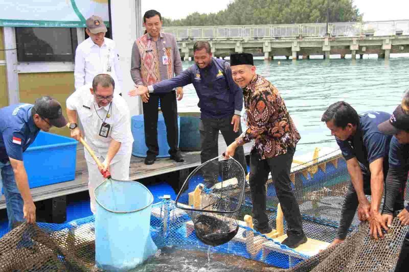 Budi Daya Ikan Menjadi Pendukung Perekonomian Nelayan Kepulauan Seribu