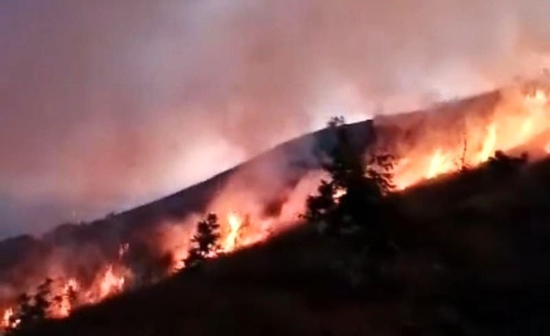 Kebakaran di Jalur Pendakian Rinjani, Jalur Senaru Ditutup Sementara