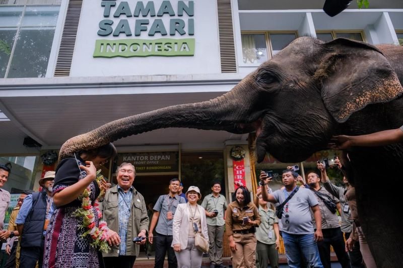 Wamenpar Pastikan Taman Safari Siap Sambut Wisatawan saat Libur Natal dan Tahun Baru