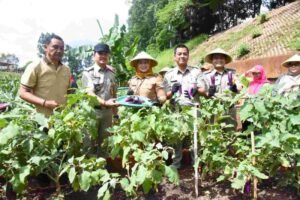 Lahan Urban Farming KBT RS. Soekamto Pondok Kopi Panen Puluhan Kilogram Bawang Merah