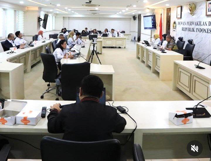Sosialisasi Aplikasi Publikasmasda Versi 2