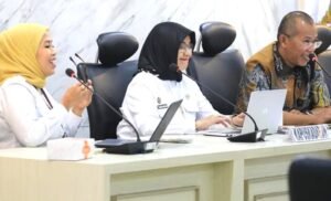 Sosialisasi Aplikasi Publikasmasda Versi 2