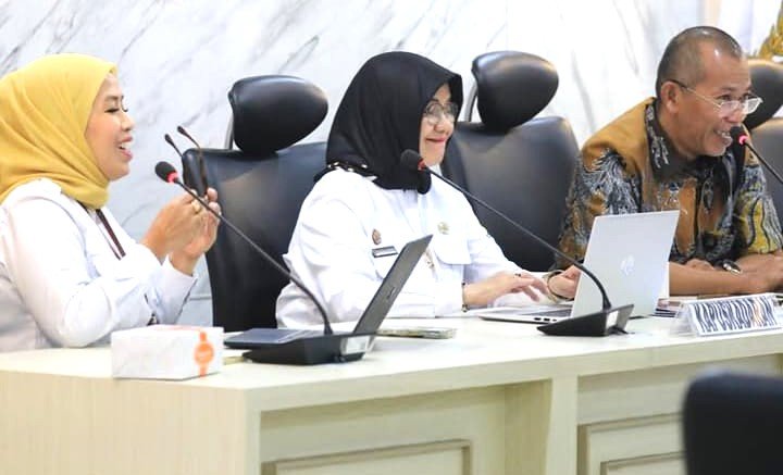 Sosialisasi Aplikasi Publikasmasda Versi 2