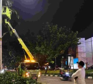 Demi Keamanan dan Keindahan Kota, Pemprov DKI Lakukan Peremajaan Pohon di Jalan Metro Pondok Indah
