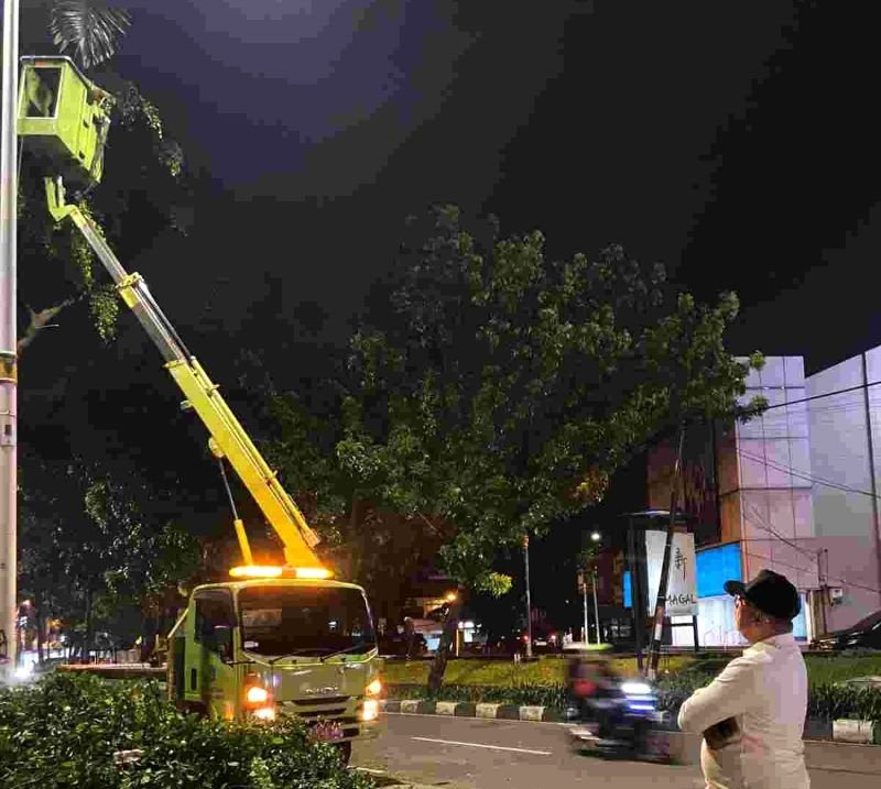 Demi Keamanan dan Keindahan Kota, Pemprov DKI Lakukan Peremajaan Pohon di Jalan Metro Pondok Indah