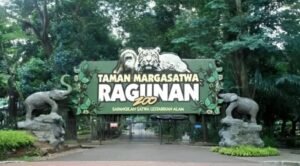 Yuk, Wisata Malam di Taman Margasatwa Ragunan!