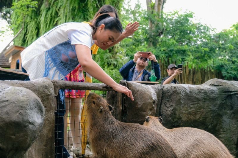 Libur Nataru Makin Dekat, Wamenpar Cek Kesiapan Destinasi wisata Bogor
